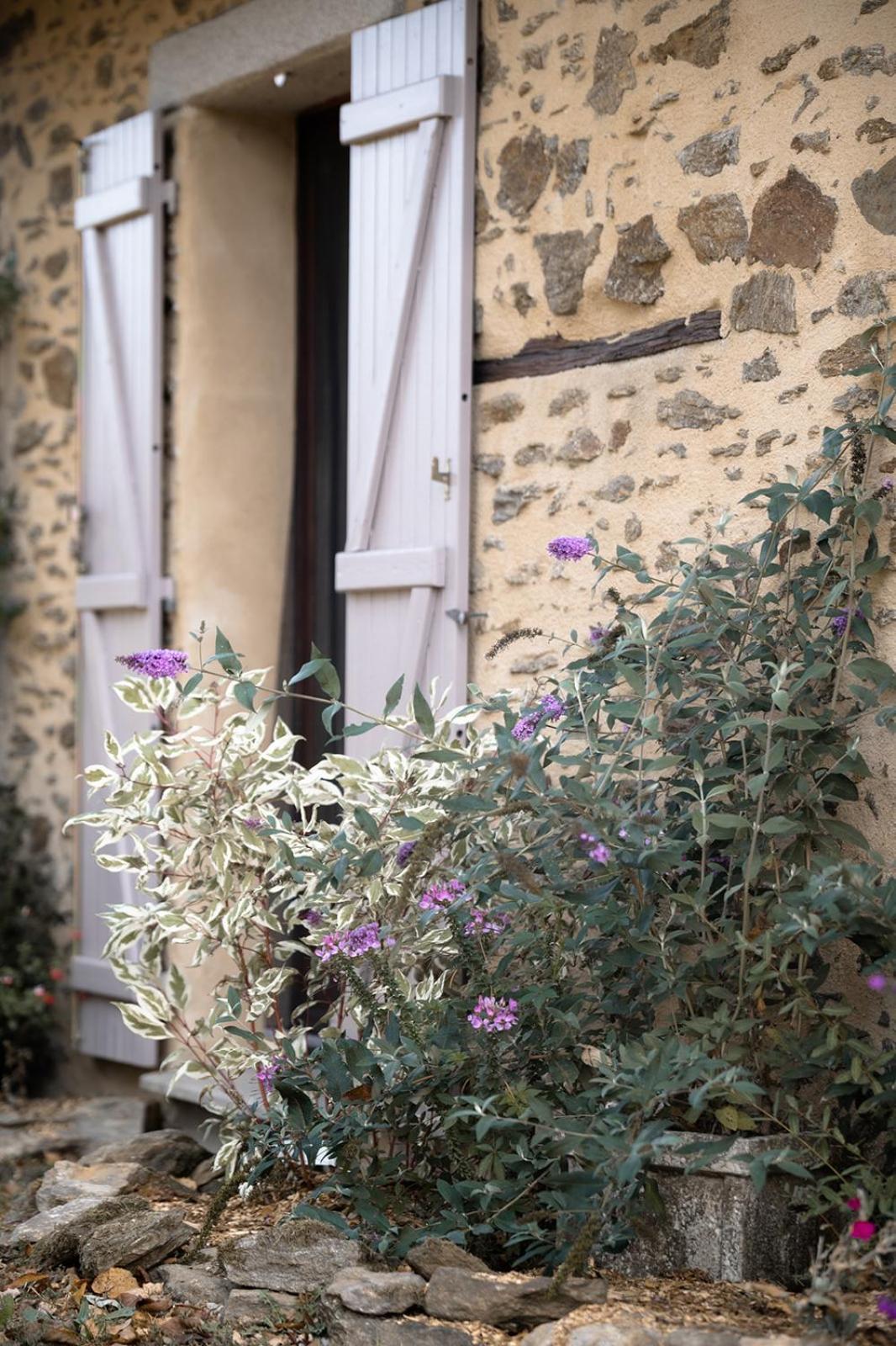 Domaine Abbey-Rose Hotel Champsac Exterior foto